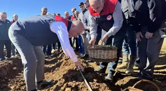 Elazığ'da Çilek Üretimi İçin 20 Bin Fide Dağıtıldı