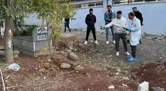 Eşinin kabrini ziyarete giden şahıs, mezarda korkunç manzarayla karşılaştı