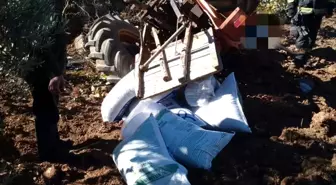 Denizli'de Gübre Taşıyan Traktör Devrildi, Sürücü Kurtarıldı