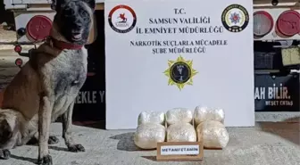 Samsun'da Narkotik Köpeği Şila, Uyuşturucu Maddeyi Buldu