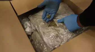 Kapıkule ve İpsala Gümrük Kapılarında Büyük Esrar Operasyonu