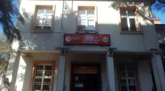 Manisa'da Eski Tip Ehliyetlerin Yenileme Süresi Yaklaşıyor