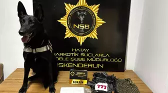 Hatay'da Operasyon: 5.5 Milyon TL Değerinde Uyuşturucu Ele Geçirildi