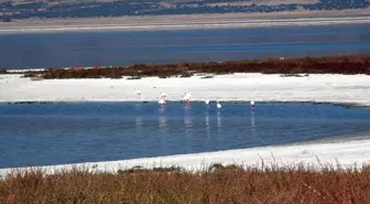 Prof. Dr. İskender Gülle: Göllerimiz İklim Değişikliği ve Yoğun Su Kullanımı Nedeniyle Küçülüyor