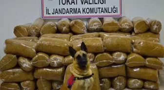 Tokat'ta 450 Kilogram Kaçak Tütün Ele Geçirildi