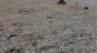 Elazığ'da Yıldırım Düşmesi Sonucu Sürü Sahibi Yaralandı