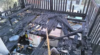 Adana'da Bir Ev Yangını: İtfaiye Ekipleri Müdahale Etti