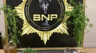 Bayburt'ta Uyuşturucu Operasyonu: 276 Gram Esrar Ele Geçirildi