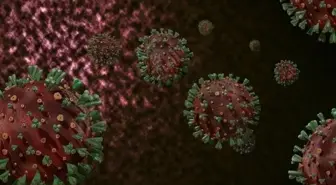 DSÖ'den M çiçeği uyarısı: Kıtayı aştı, hızla kontrol altına alınmalı