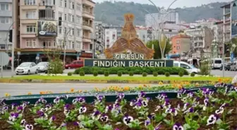 Giresun ismi değişecek mi, Giresun ismi Yiğitgiresun mu olacak?