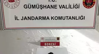 Gümüşhane'de Uyuşturucu Operasyonu: 2 Gözaltı