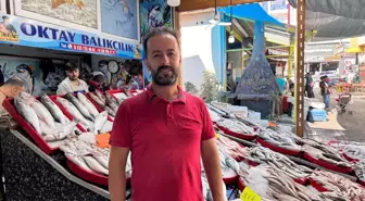 Dörtyol'da Tekne Halatına Dolanan Köpek Balığı Görüntülendi