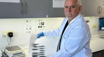 Karadeniz'deki Hamsi Popülasyonu Tehlikede