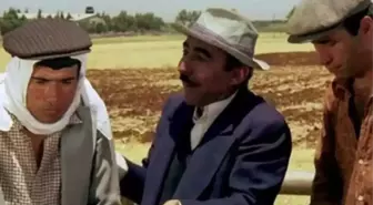 Kibar Feyzo filmi oyuncuları kim, konusu ne, sonu nasıl bitiyor? Kibar Feyzo filmi ne zaman, nerede çekildi?