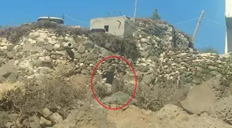 Mardin'de Aileler Arasında Kanlı Kavga: 4 Yaralı, 3 Tutuklama