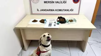 Mersin'de Uyuşturucu Ticareti Yapan 5 Şüpheli Tutuklandı