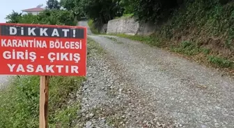 O kentimizde şap hastalığı paniği! Çok sayıda mahalle karantinaya alındı