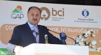 Şanlıurfa'da İyi Pamuk Projesi Tarla Günü Etkinliği Gerçekleştirildi