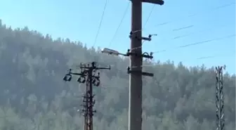 Karabük'te Trafik Cezası Nedeniyle İntihar Girişimi