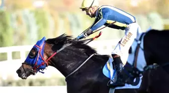 Cumhuriyet Koşuları Ankara Hipodromu'nda Gerçekleşti