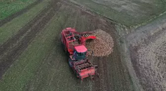 Ağrı'da Tarım Ürünleri Ekimi Devlet Desteğiyle Artıyor