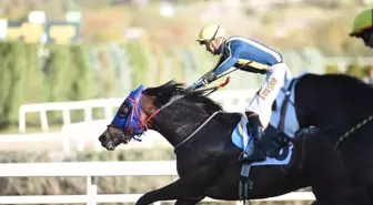 Cumhuriyet Haftası'nda At Yarışlarının Coşkusu