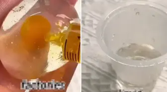 Bu da sahte yumurta! Yapılan hile ağızları açık bıraktı