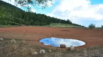 Sülüklü Göl Kurudu: Spil Dağı'ndaki Doğal Güzellik Tehlikede