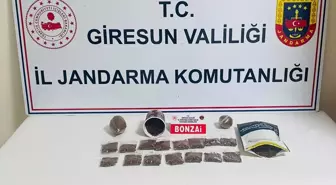 Giresun'da Uyuşturucu Operasyonu: Bir Kişi Tutuklandı
