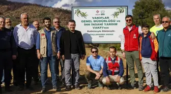 İHH, Orman Yangınlarından Etkilenen Çiftçilere Zeytin Fidanı Desteği Sağlayacak