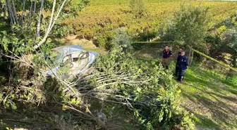 Manisa Sarıgöl'de Trafik Kazası: Sürücü Hayatını Kaybetti
