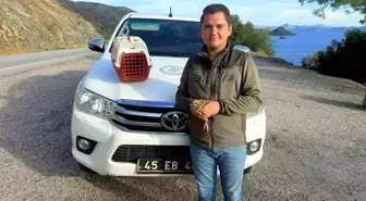 Datça'da Yasadışı Kınalı Keklik Satışı: 28 Bin TL Ceza