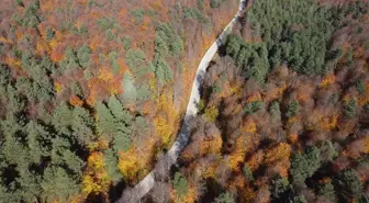 Küçükelmalı Tabiat Parkı Sonbahar Renkleri ile Büyülüyor