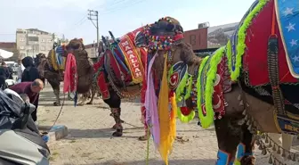 Çanakkale'de Havut Giydirme Hayrı Düzenlendi