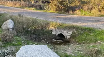 Çanakkale'de Boş Arazide Kız Bebeği Cesedi Bulundu