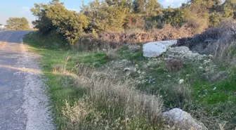 Çanakkale'de Boş Arazide Kız Bebek Cesedi Bulundu