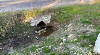 Çanakkale'de Boş Arazide Bebek Cesedi Bulundu