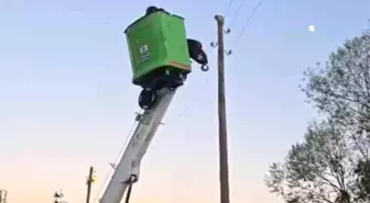 Bingöl'de Mahsur Kalan Kedi Elektrik Ekipleri Tarafından Kurtarıldı