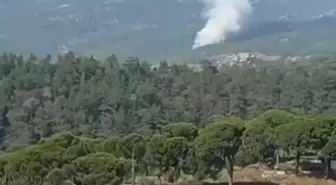 Muğla'da Orman Yangını: 1 Hektar Alan Zarar Gördü