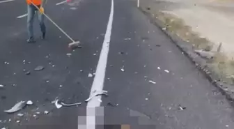 Ürgüp'te Başlıboş Atlara Otomobil Çarptı: İki At Öldü, Sürücü Yaralandı