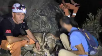 Datça'da Mahsur Kalan Yürüyüşçü 4 Saat Sonra Kurtarıldı