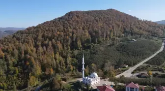 Nebiyan Dağı'nda Sonbahar Renkleri