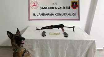 Şanlıurfa'da Silah Operasyonu: 1 Gözaltı ve Uzun Namlulu Silah Ele Geçirildi