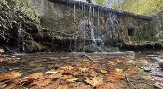 Tekirdağ’da Sonbahar Güzellikleri Doğaseverleri Bekliyor