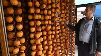 Lapseki'de Üretici, Trabzon Hurmasını Kendi Tasarladığı Aletle Kurutup Kazancını Artırıyor