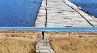 Van Gölü'nde Küresel İklim Değişikliği Etkisiyle Çekilme Hızlanıyor