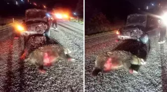 Yola aniden çıktı, kazaya neden oldu