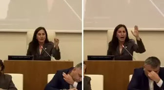 Beykoz Belediye Başkan Vekili Gürzel, CHP'li üyelere ateş püskürdü