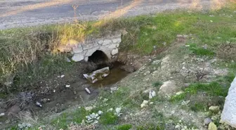 Çanakkale'de boş arazide kız bebek cesedi bulundu