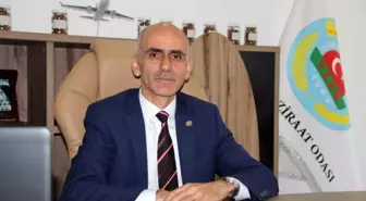 Giresun Ziraat Odası Başkanı TMO'yu Fındık Alım Fiyatını Güncellemeye Çağırdı